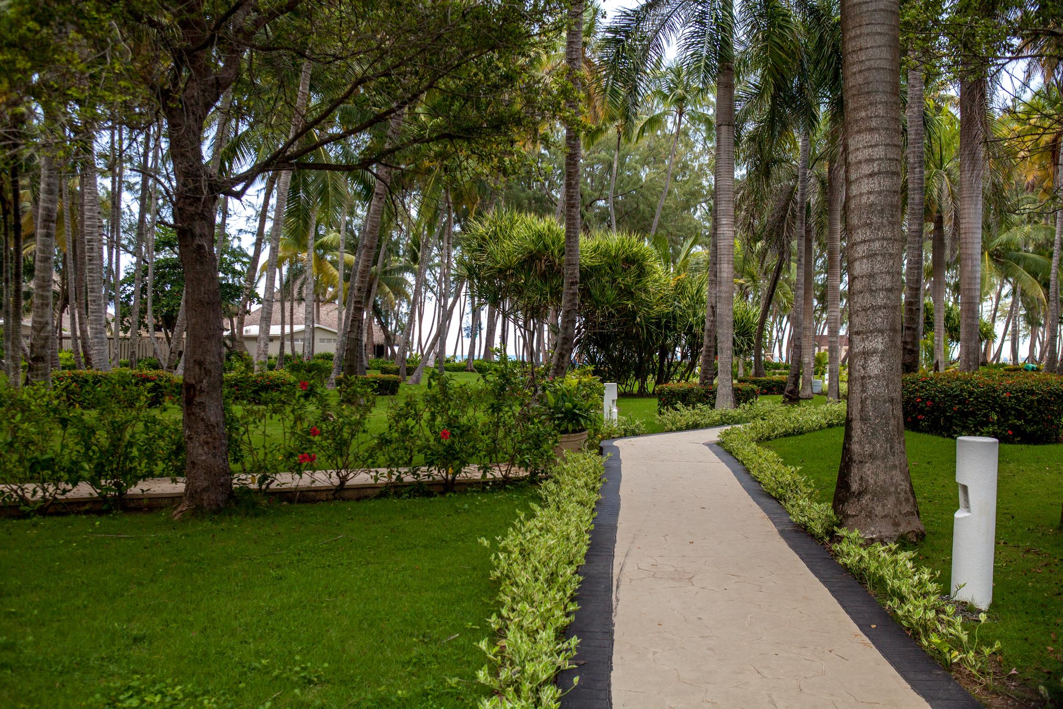 Vista Sol Punta Cana Hotel Exterior photo